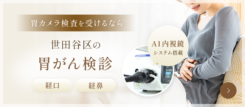 世田谷区の胃がん検診